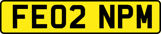 FE02NPM