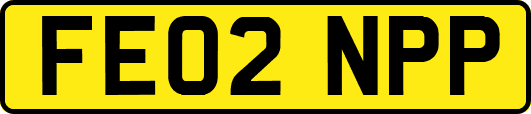 FE02NPP
