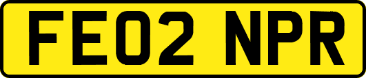 FE02NPR