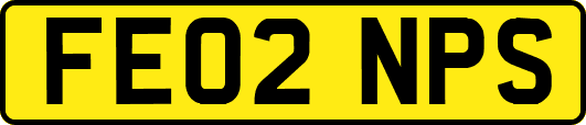 FE02NPS
