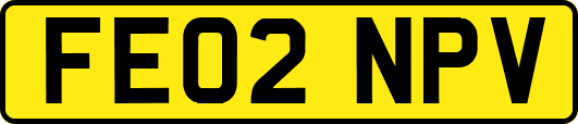 FE02NPV