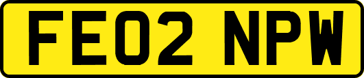 FE02NPW