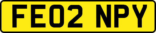 FE02NPY