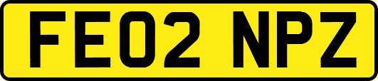 FE02NPZ