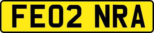FE02NRA