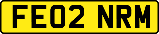 FE02NRM
