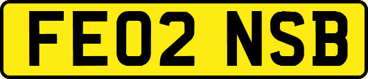 FE02NSB