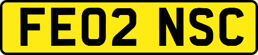 FE02NSC