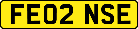 FE02NSE
