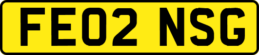 FE02NSG