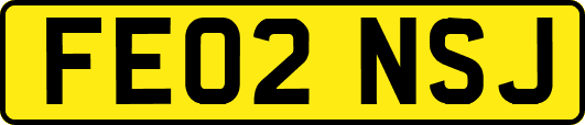 FE02NSJ