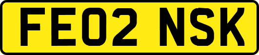 FE02NSK