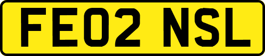 FE02NSL