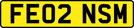 FE02NSM