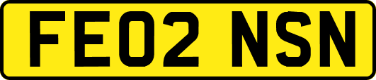 FE02NSN