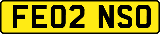 FE02NSO