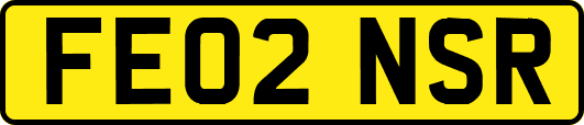 FE02NSR