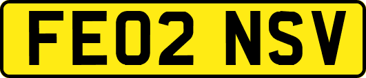FE02NSV