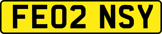 FE02NSY