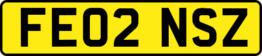 FE02NSZ