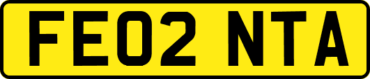 FE02NTA