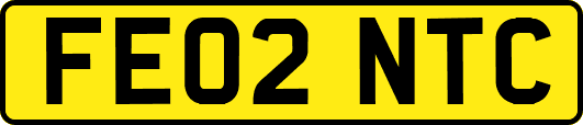 FE02NTC