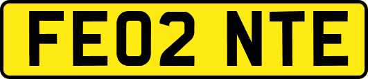 FE02NTE