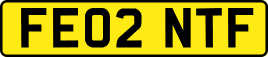FE02NTF
