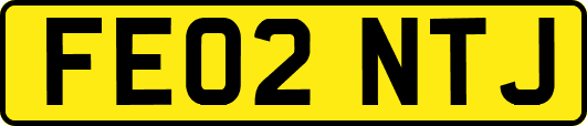 FE02NTJ