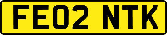 FE02NTK