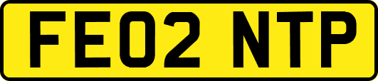 FE02NTP