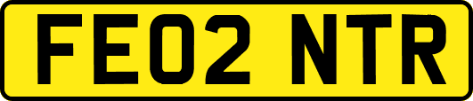 FE02NTR