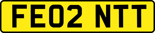 FE02NTT