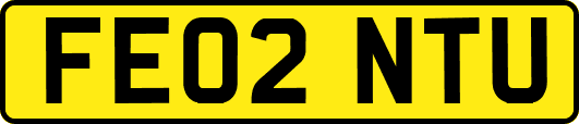 FE02NTU
