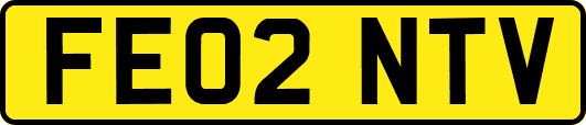 FE02NTV