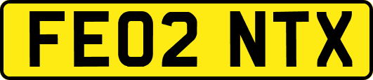 FE02NTX