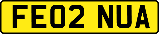 FE02NUA