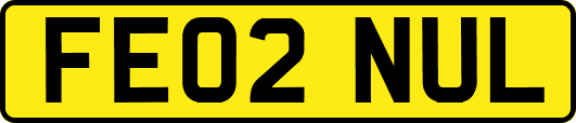 FE02NUL
