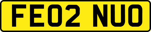 FE02NUO