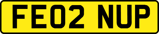 FE02NUP