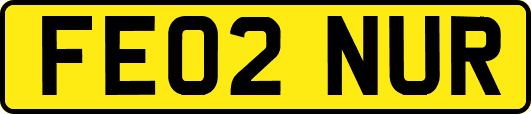 FE02NUR
