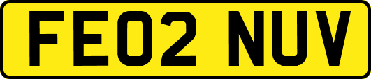 FE02NUV
