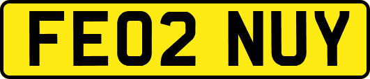 FE02NUY