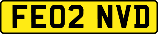 FE02NVD