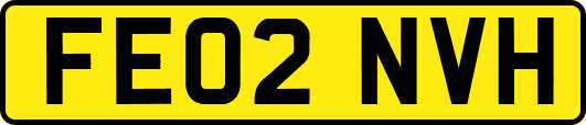 FE02NVH