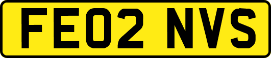 FE02NVS