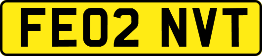 FE02NVT