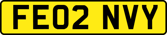 FE02NVY