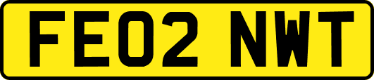 FE02NWT