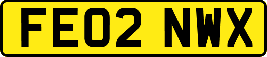 FE02NWX